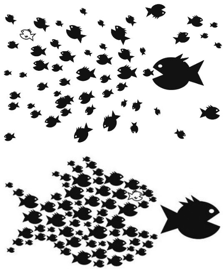 Sustainability Governance: The Politics of Environmental Solutions
